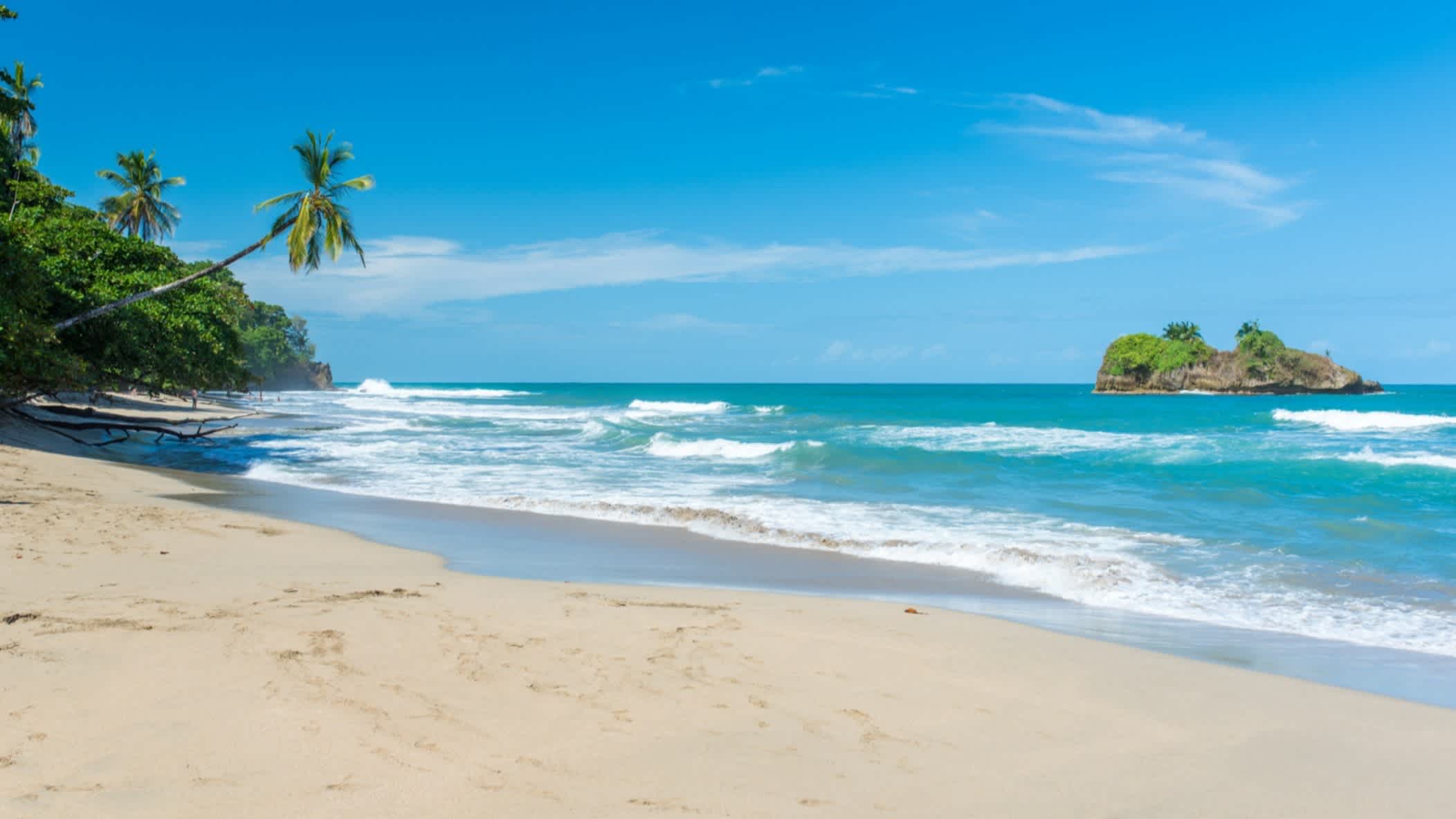 Tropischer Strand Playa Cocles in der Nähe von Puerto Viejo in Costa Rica mit seinem weißen Sand, einigen Palmen im Bild sowie dem schönen Meer und einer kleinen unbewohnten vorgelagerten Insel. 

