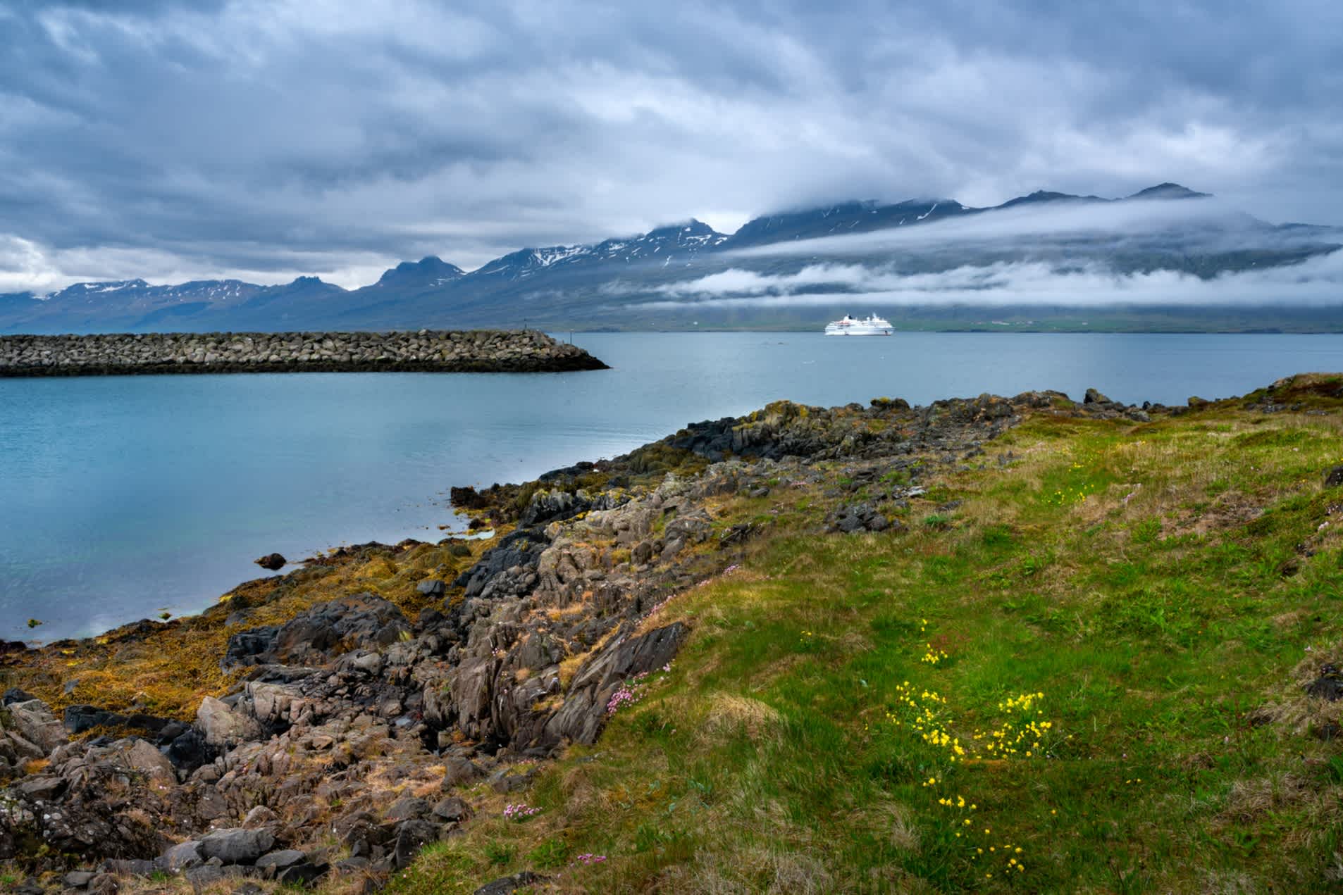 Das weiße Kreuzfahrtschiff läuft in den isländischen Hafen im Fjord ein.