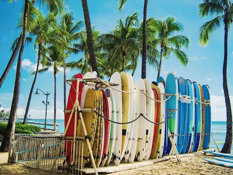 USA, Hawaii, Waikiki Surfbretter am Strand mit Palmen unter blauem Himmel. Waikiki, Hawaii, USA.
