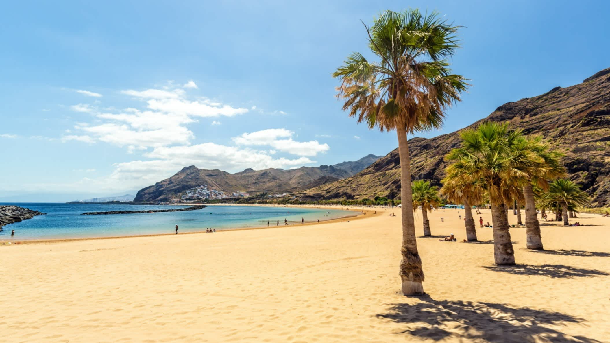 Plage de sable doré avec ciel bleu et palmiers à Tenerife en Espagne