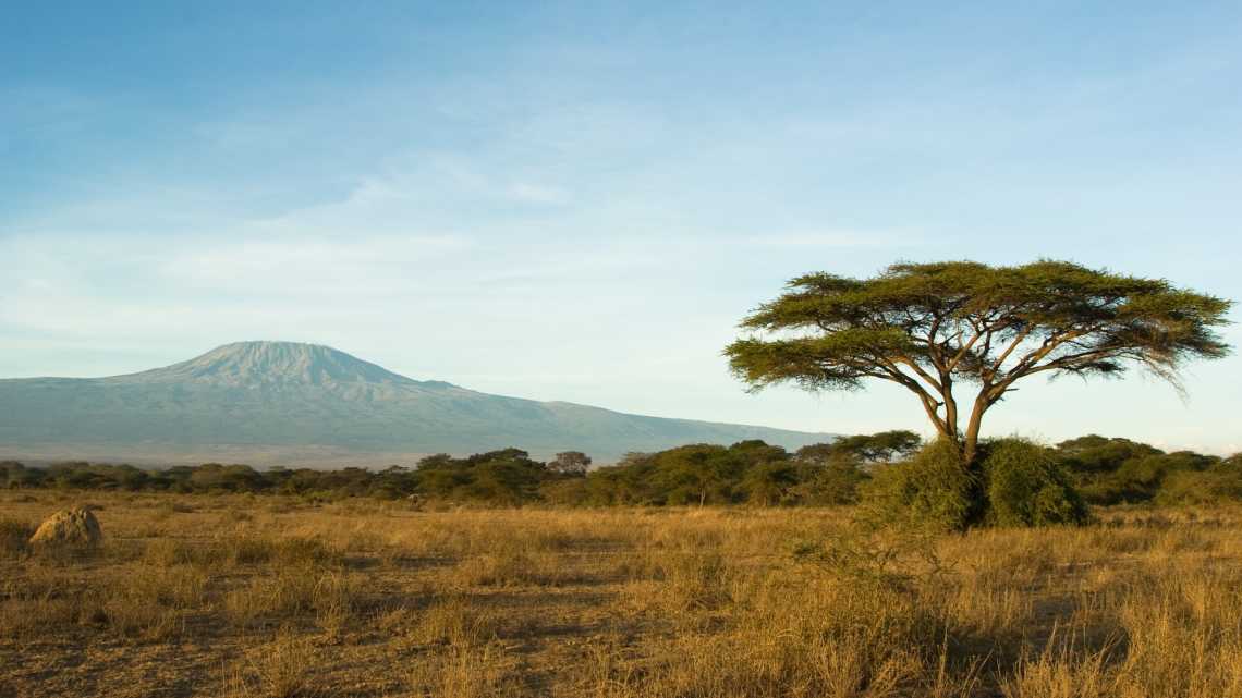 Blick auf den Kilimandscharo im Kilimandscharo-Nationalpark, Tansania.