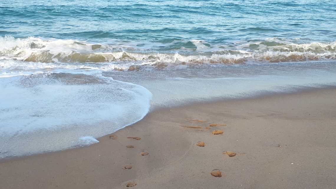 Traces de pas dans le sable au bord de l'eau sur la plage de Mar Azul en Argentine