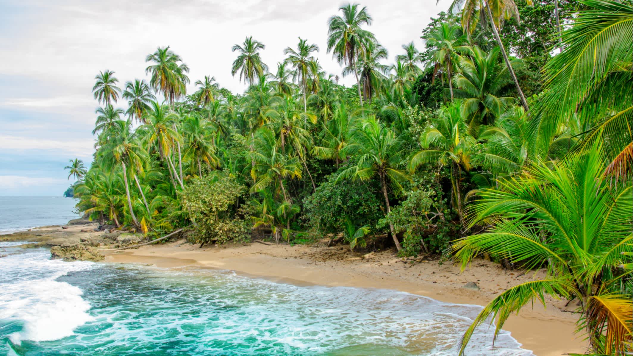 Blick zum karibischen Strand von Costa Rica in der Nähe Manzanillo