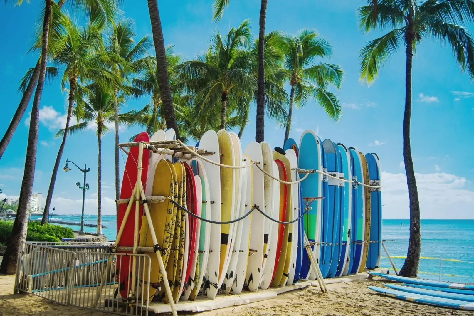 Hawaï, plage, planches de surf Hawaï, Oahu, palmiers et planches de surf colorées sur la plage de Waikiki.