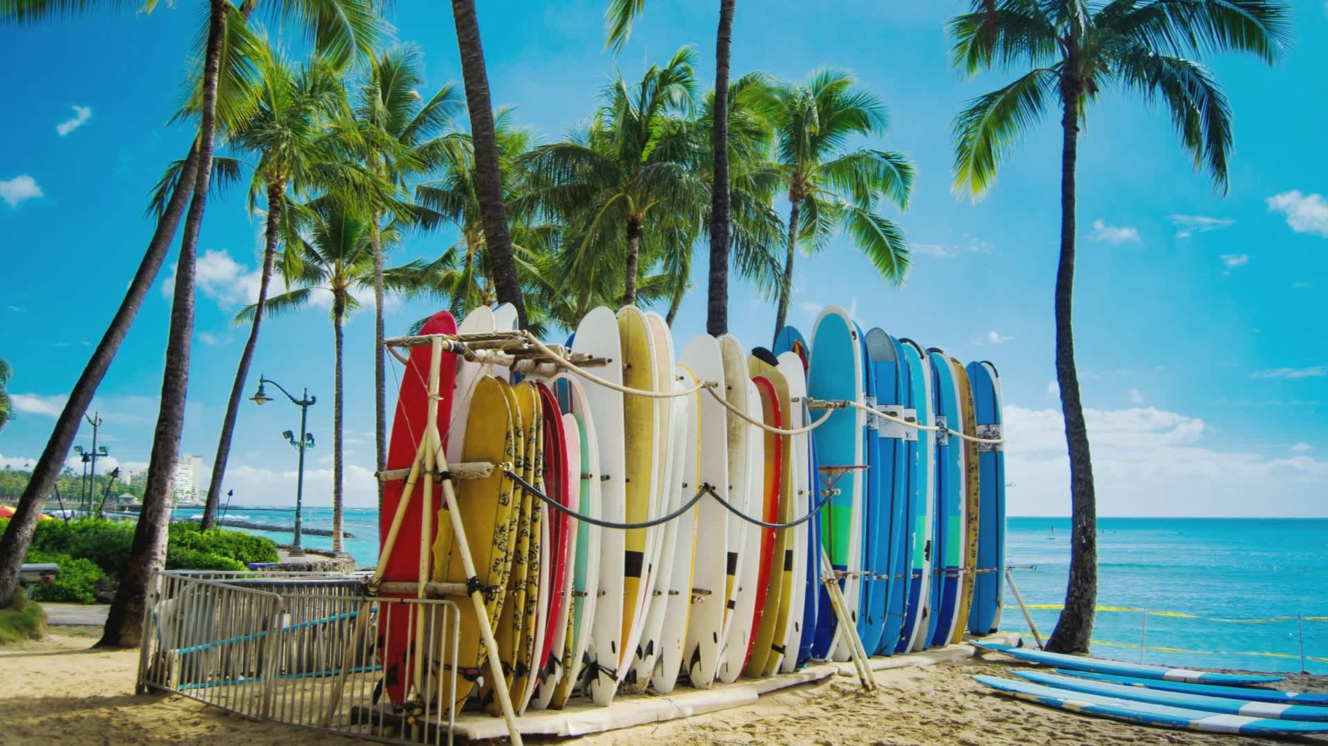 Hawaï, Oahu, palmiers et planches de surf colorées sur la plage de Waikiki.