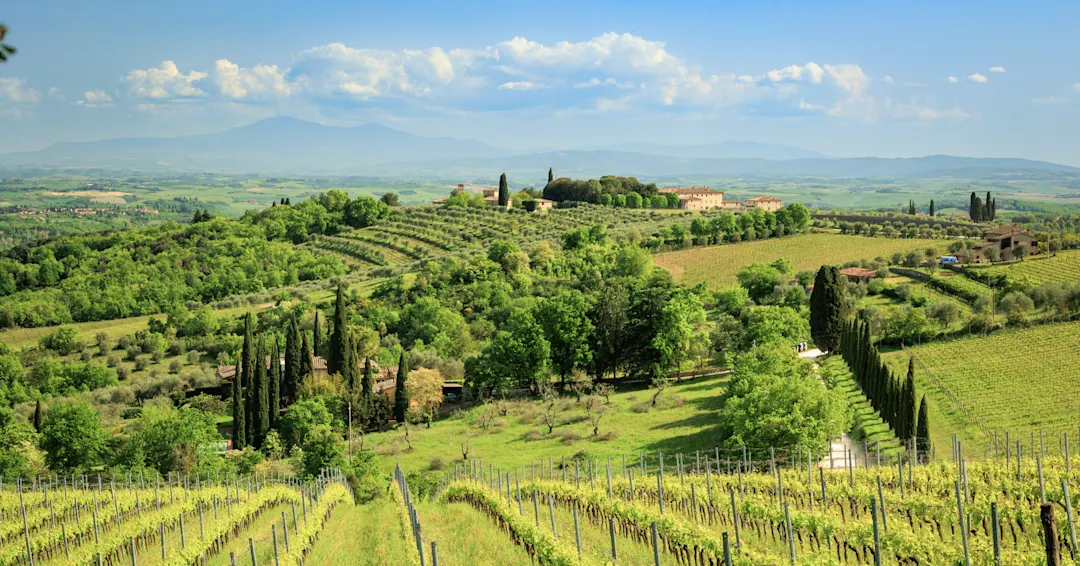 Hügelige Landschaft mit Zypressen und einem Landhaus. Val d’Orcia, Toskana, Italien.