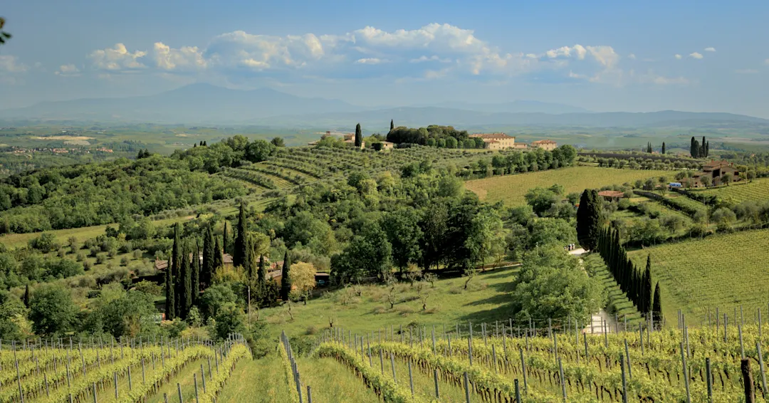 Hügelige Landschaft mit Zypressen und einem Landhaus. Val d’Orcia, Toskana, Italien.