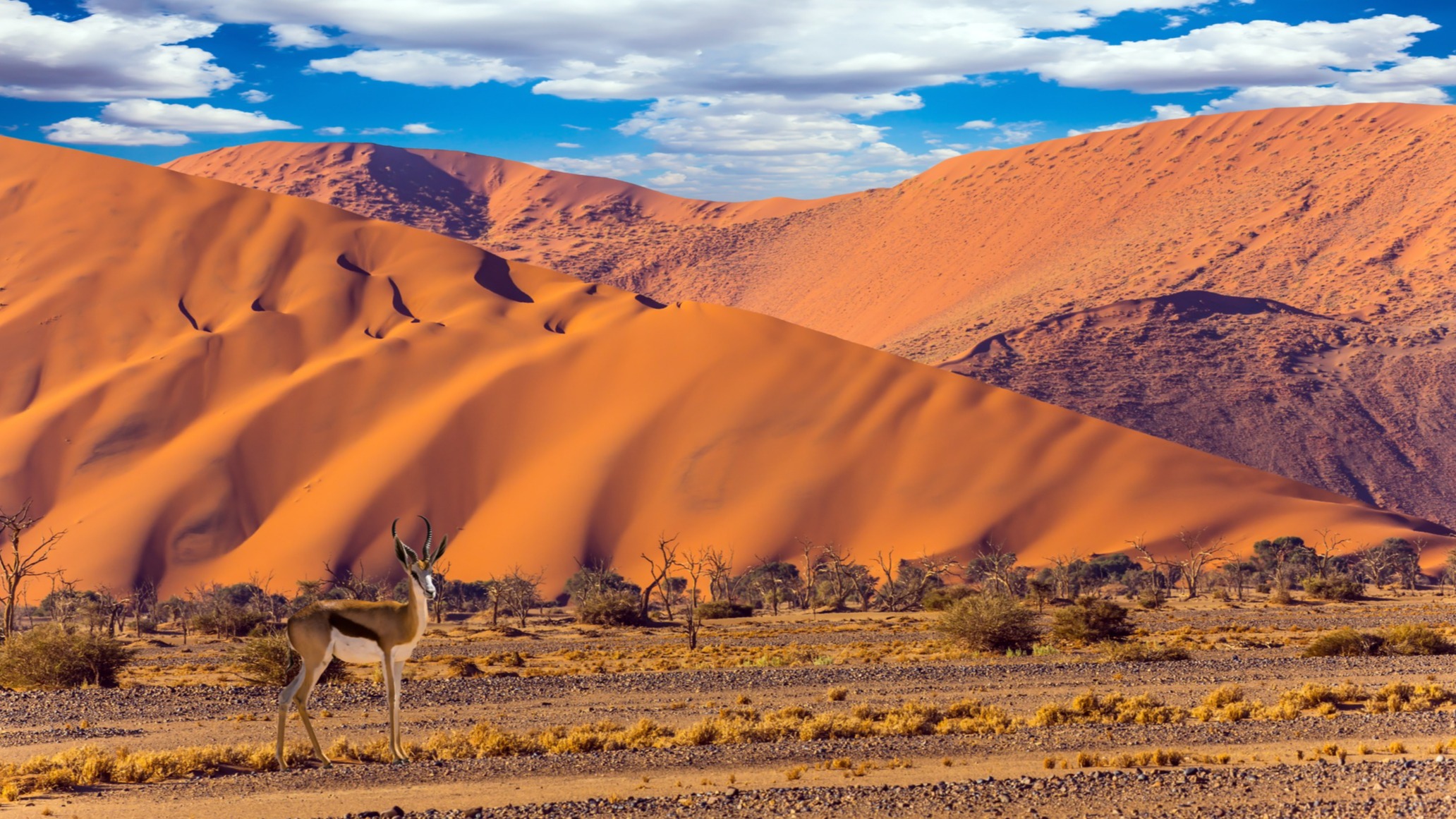 Voyage En Namibie : Planification Sur Mesure | Tourlane