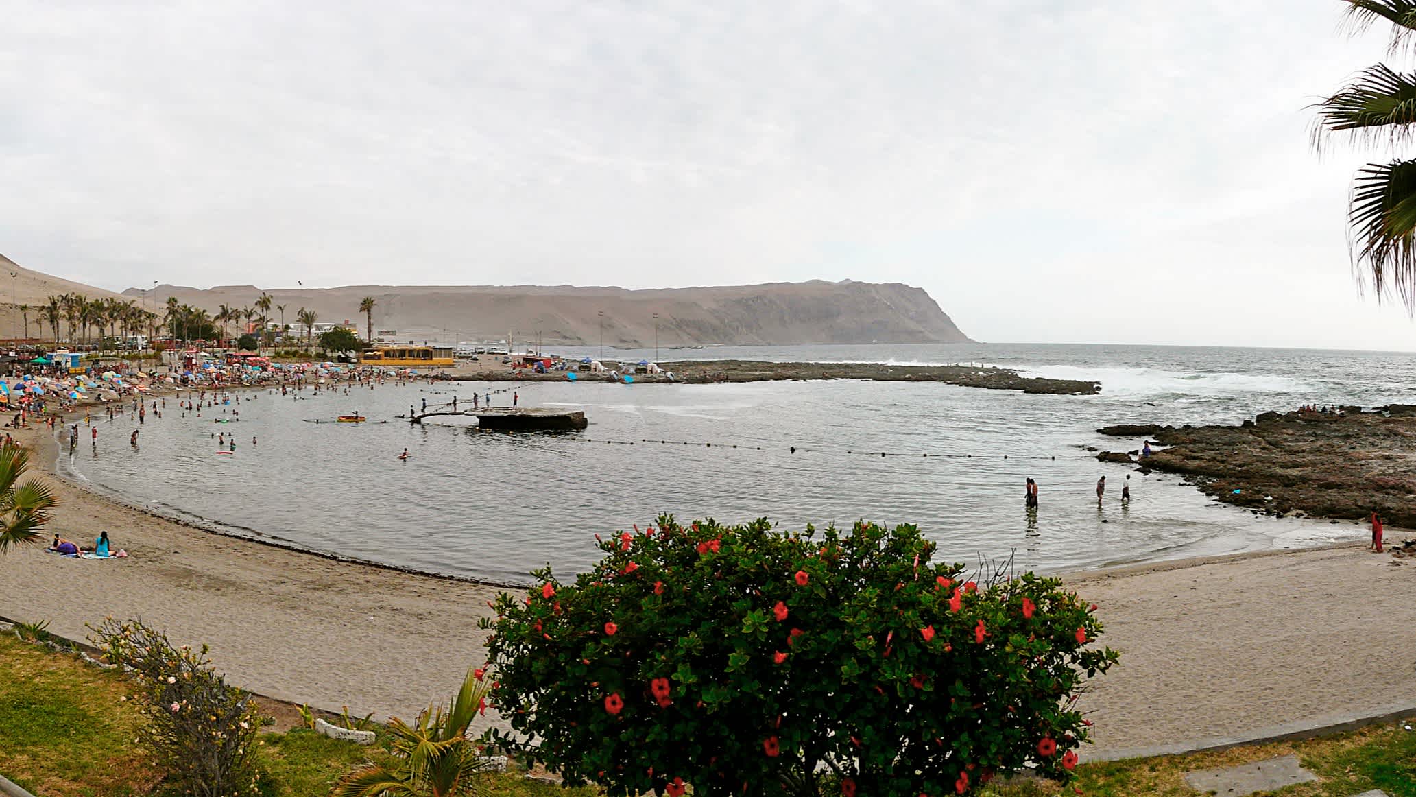 Der Strand von La Lisera nahe Arica in Chile mit Menschen am Strand und einem Busch im Vordergrund sowie einem Weitblick über die Bucht im Hintergrund.