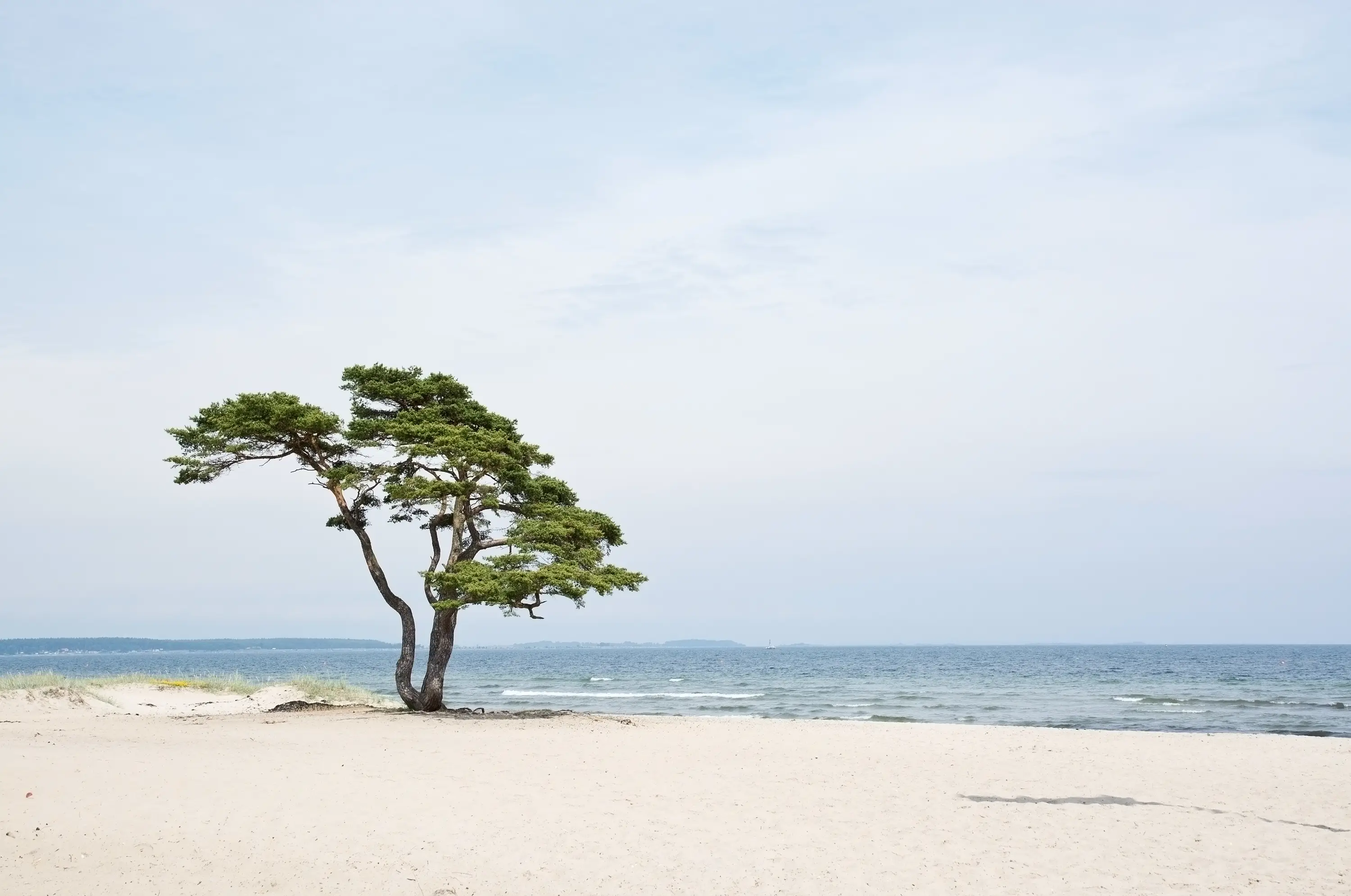 Åhus, Skåne Åhus, Skåne