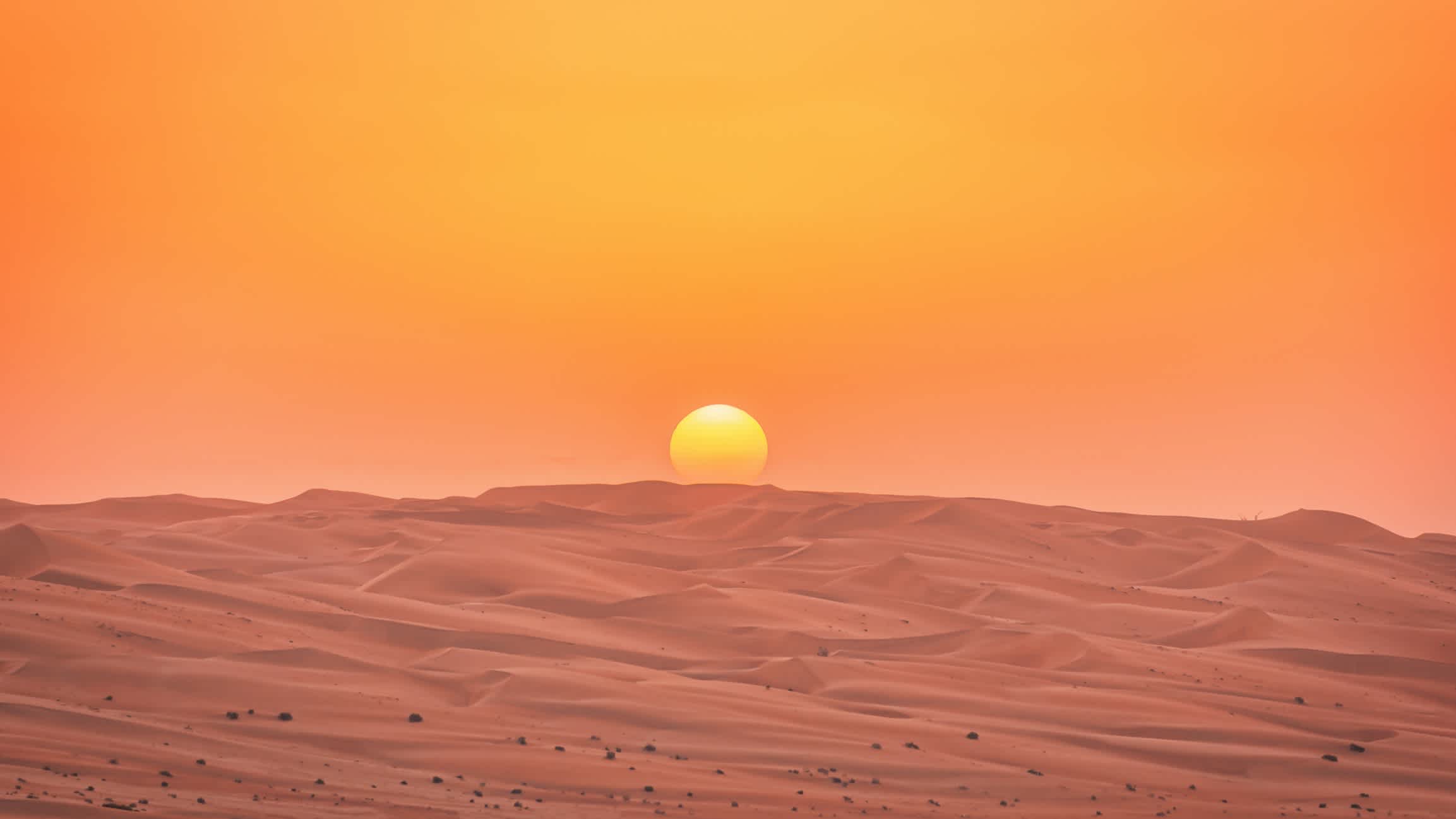 Rub' al Khali Wüste