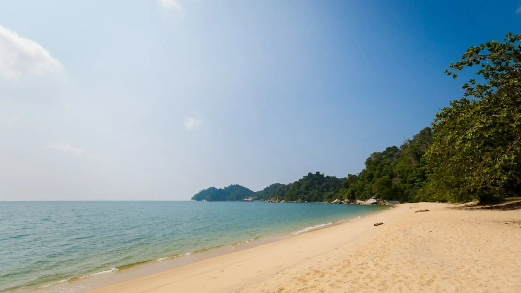 Pasir Bogak Beach, Pangkor, Malaisie Sable doré avec palmiers verts sur la plage de Pasir Bogak, en Malaisie