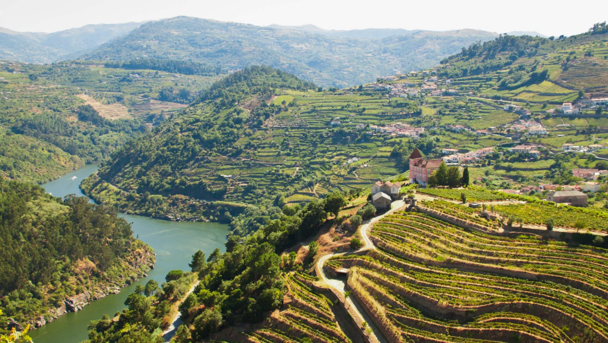 La vallée du Douro et ses vignobles, près de Porto, Portugal