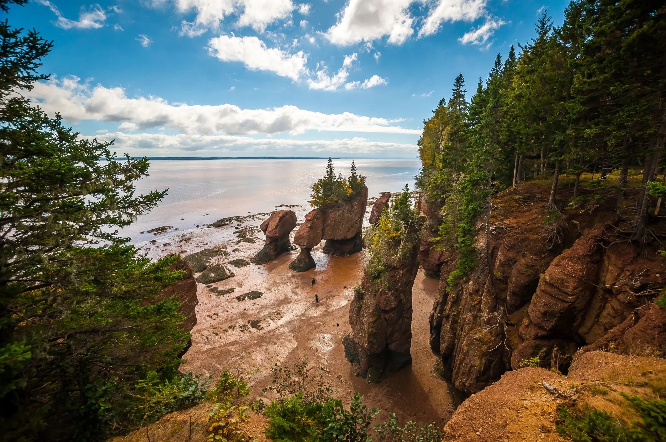 Kanada, New Brunswick, Bay of Fundy Das Panorama des Hopewell Rocks Provincial Park in der Bay of Fundy, New Brunswick, Kanada.