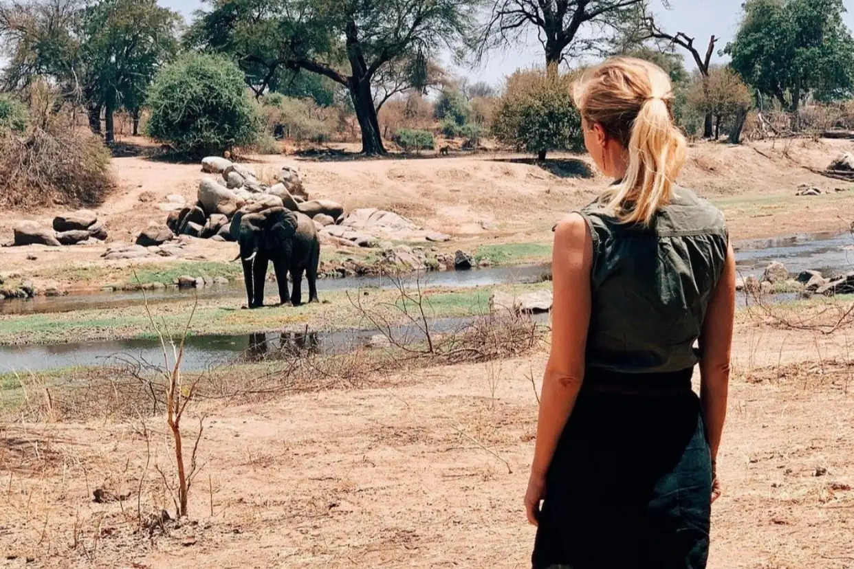 Stephanie Meyer beobachtet im Ruaha-Nationalpark einen Elfanten