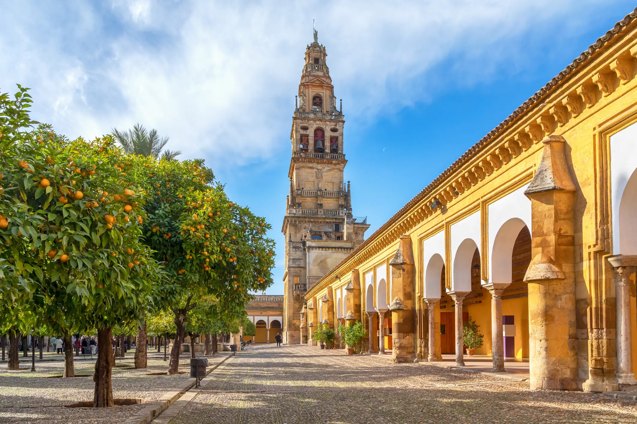 Torre Campanario, orangen, Cordoba Torre Campanario und Innenhof mit Orangenbäumen in Cordoba