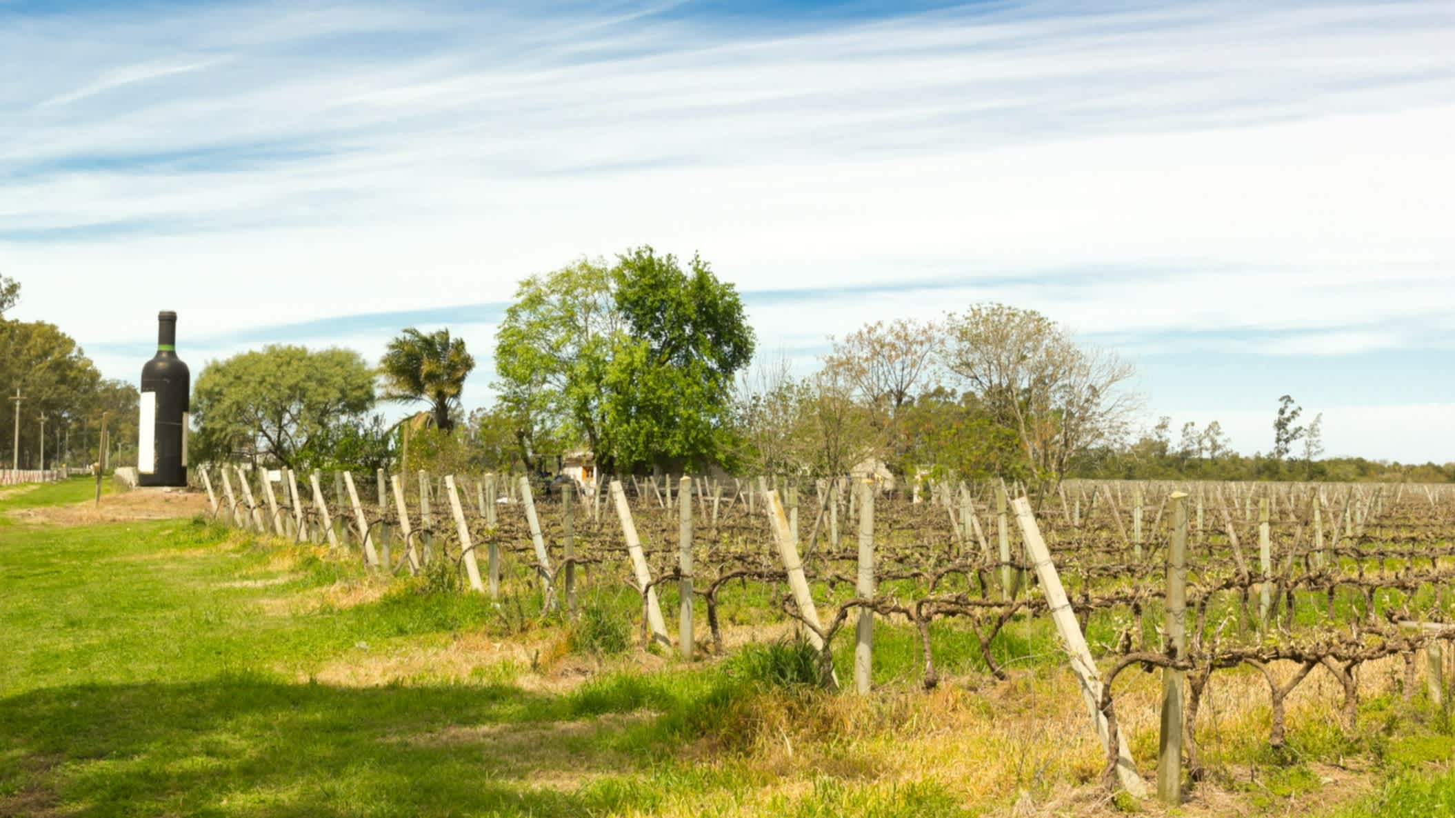 Uruguayischer Weingut in der Nähe des Rio Uruguay

