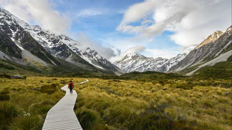 Frau Backpacker zu Fuß auf dem hölzernen Weg zum Mt. Cook in Neuseeland