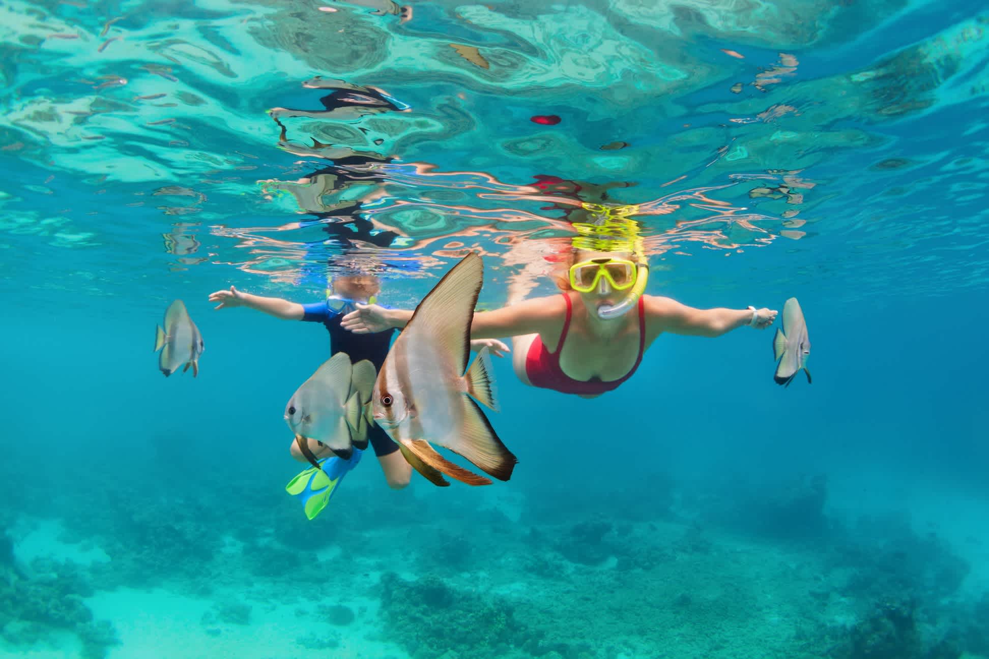 Mutter und Kind mit Schnorchelmaske tauchen unter Wasser und erkunden tropische Fische