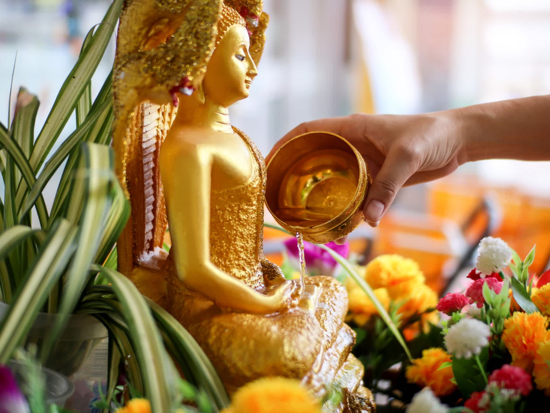 Nahaufnahme der Hand der Frau streuen Wasser auf ein goldenes Buddha-Bild am Songkran Festival Day in Thailand.