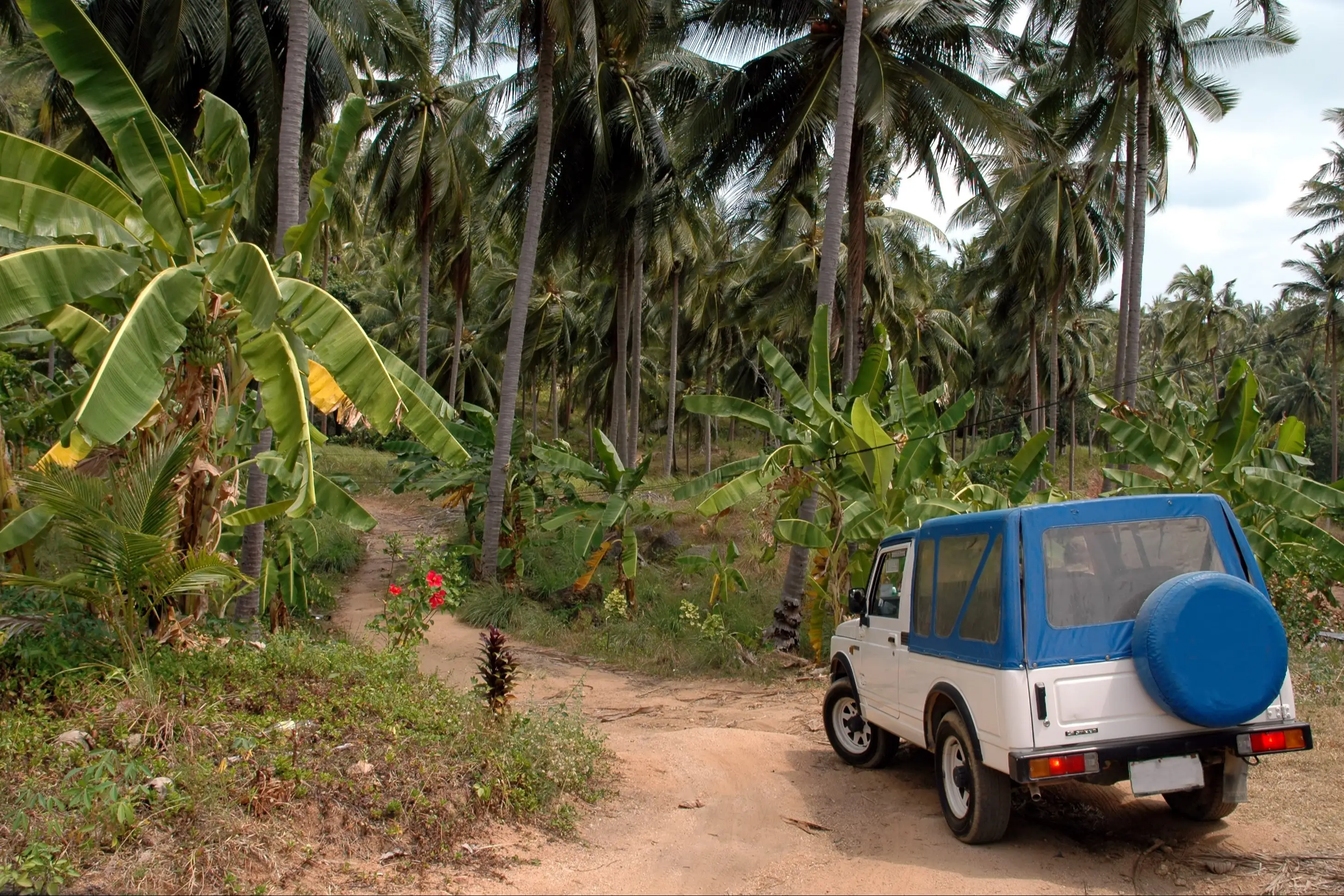 Thailand, Koh Samui, Jeep im Dschungel Jeep im Dschungel