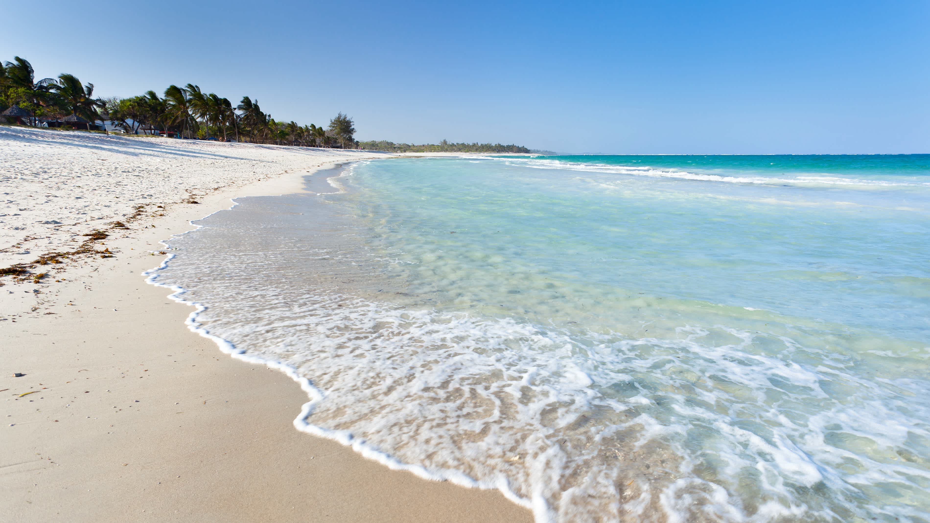 Der traumhafte Strand Diani Beach bei Ukunda in Kenia bei Sonne satt und türkisblauem Meer mit Palmen im Hintergrund.