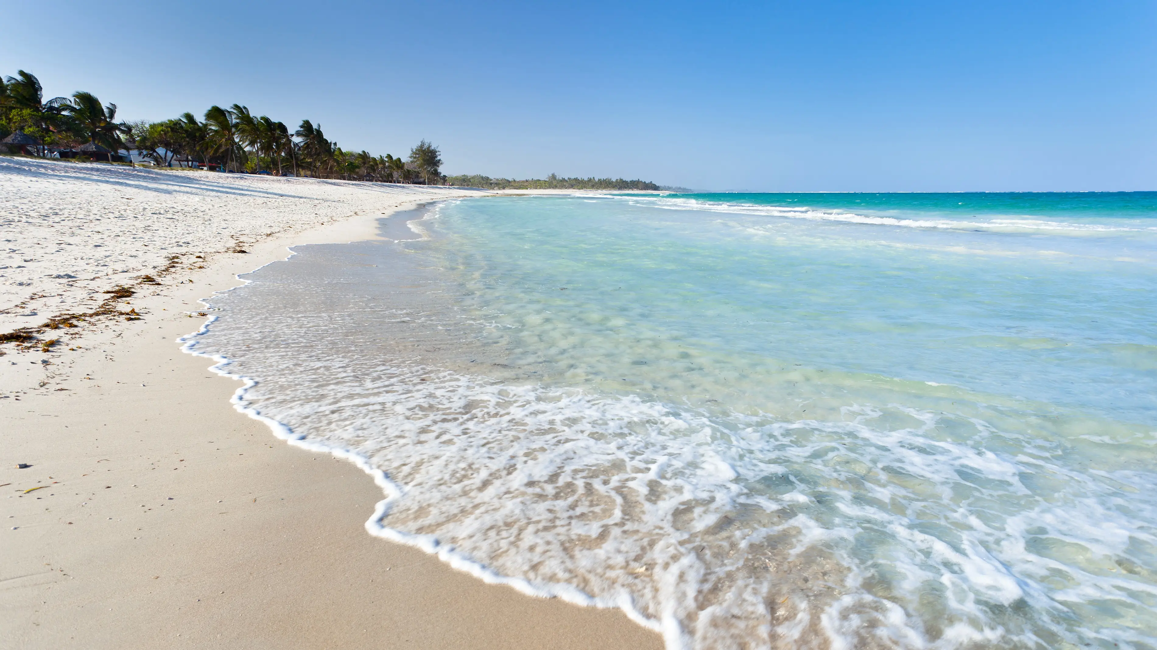 Kenia Diani Strand Der traumhafte Strand Diani Beach bei Ukunda in Kenia bei Sonne satt und türkisblauem Meer mit Palmen im Hintergrund.