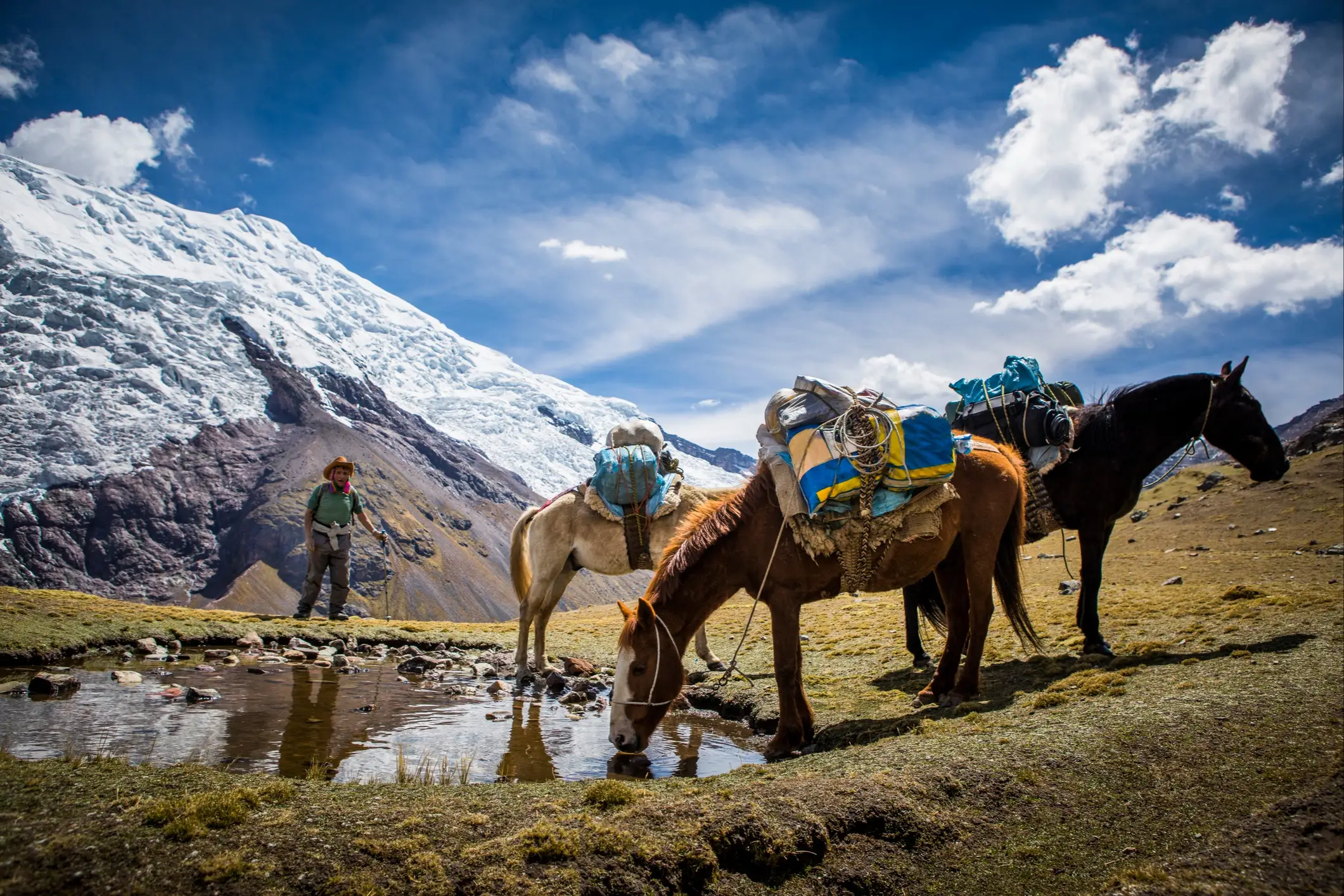 Peru, Anden, Pferde Traditionelles Leben in den Bergen lebt, Peru.