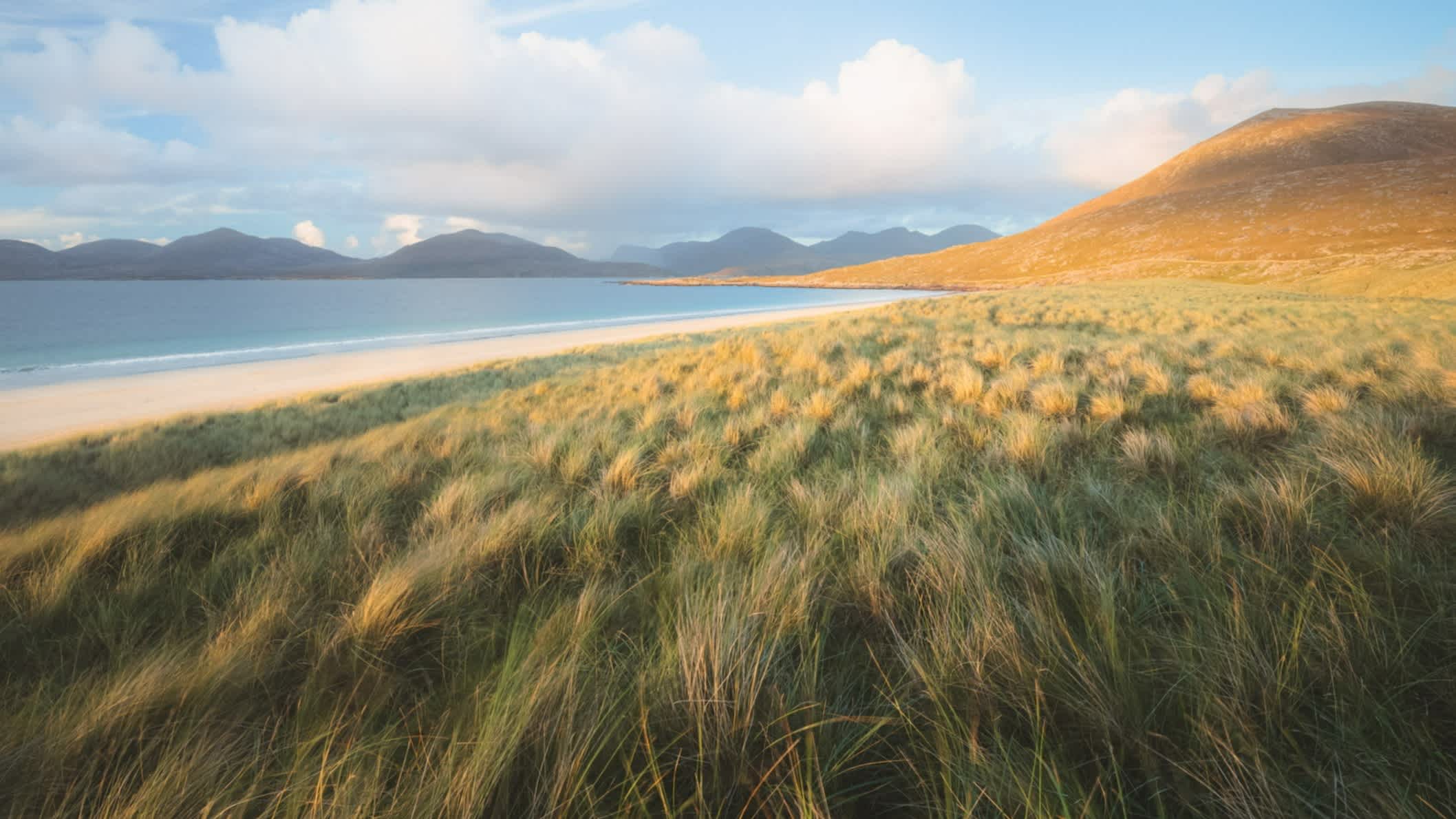 Schöner goldener Sonnenuntergang oder Sonnenaufgang Licht auf Seelandschaft Landschaft von Luskentyre Beach und grasbewachsenen Dünen auf der Isle of Lewis und Harris in den Äußeren Hebriden von Schottland, UK.