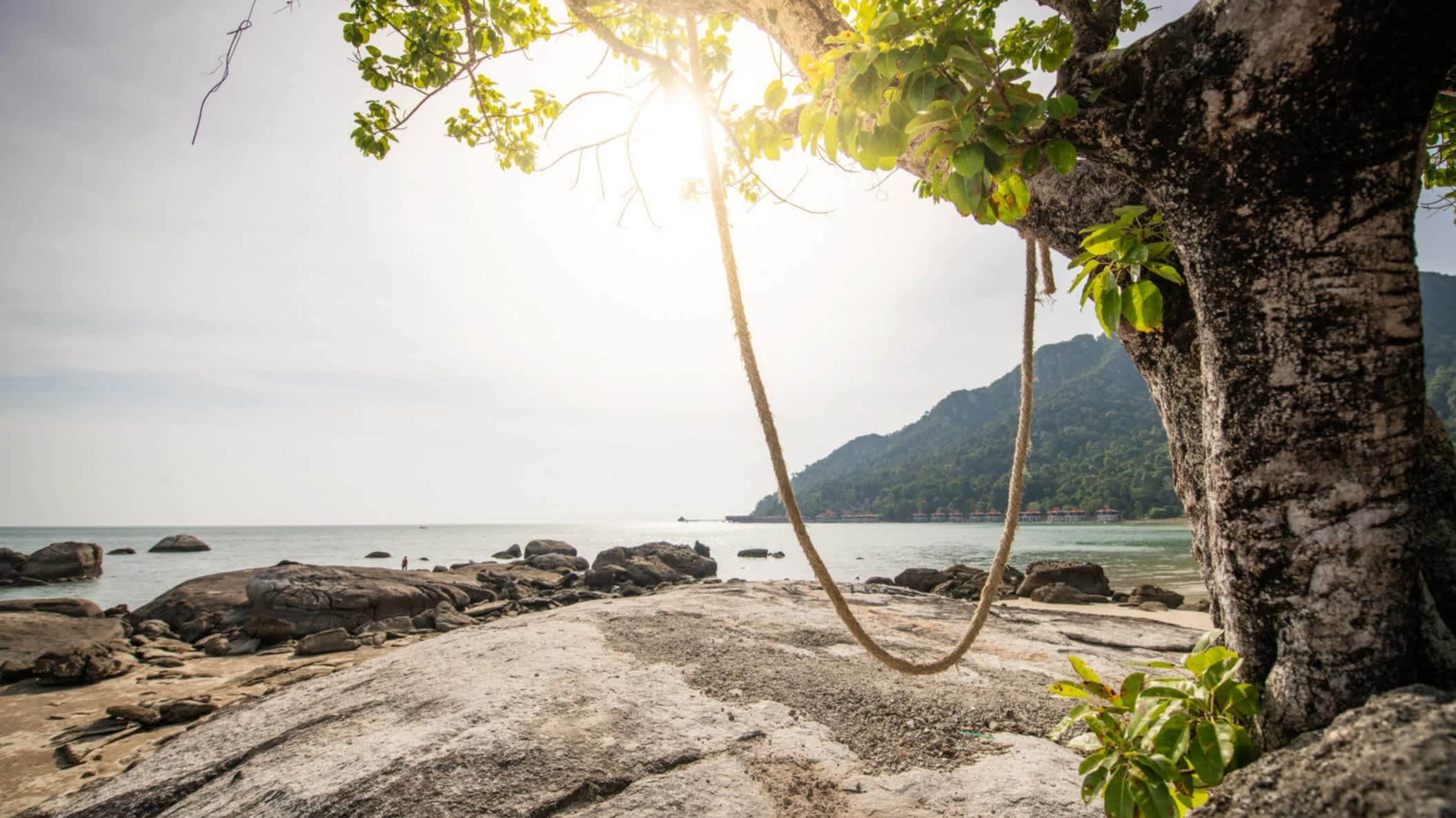 Tropischer Baum am Strand Pantai Kok Beach, Langkawi, Malaysia mit Blick auf das Meer eine grüne Insel im Hintergrund und bei Sonnenschein.