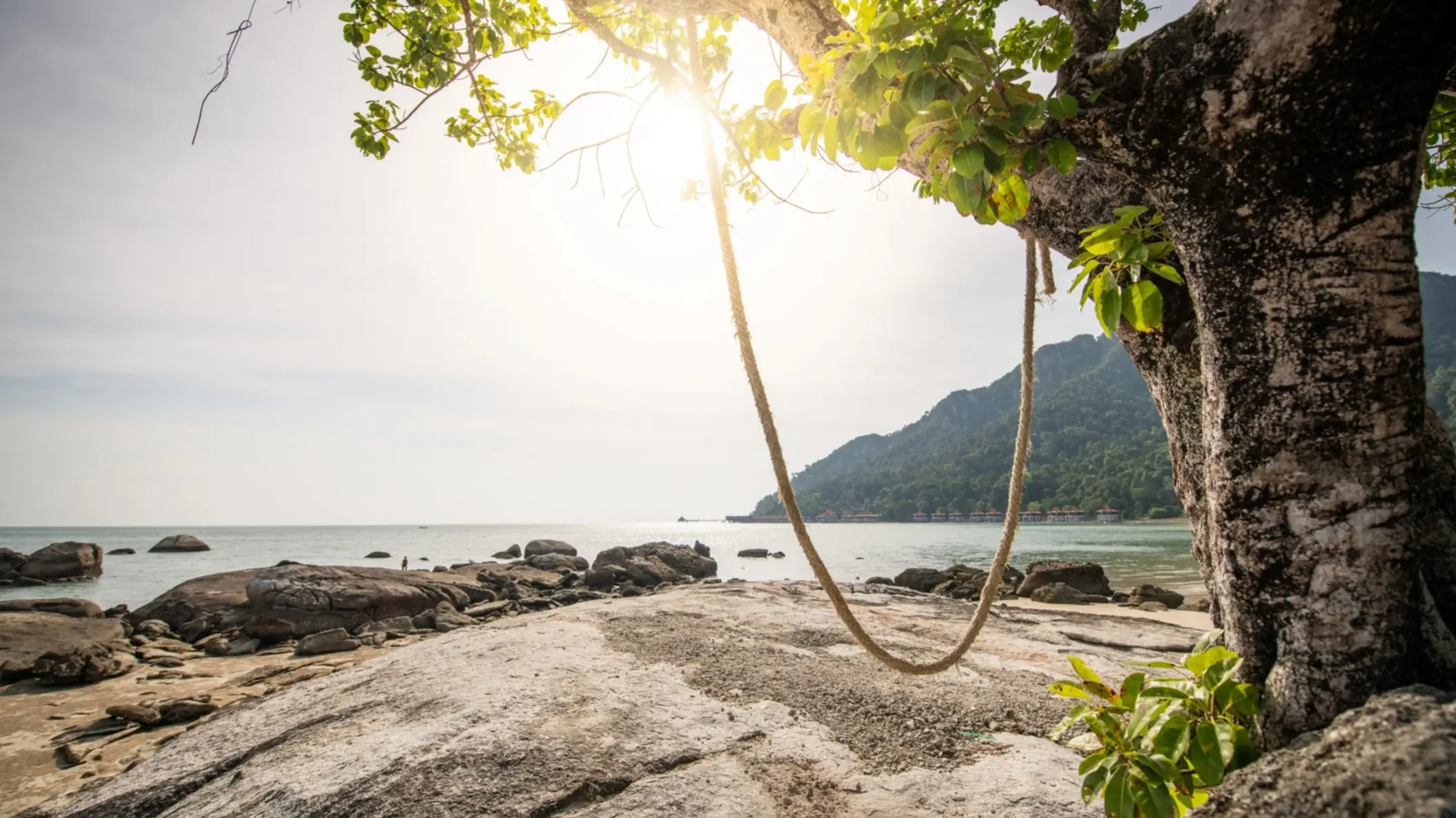Pantai Kok Beach, Langkawi, Malaisie Corde accrochée à un arbre sur la plage de Langkawi, en Malaisie