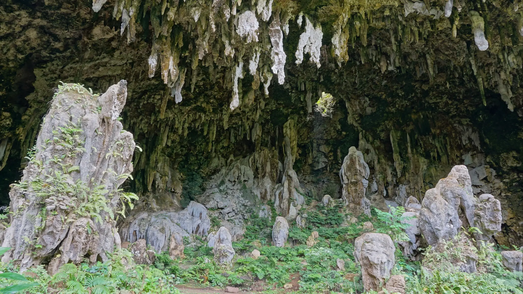 Höhle mit beeindruckenden Stalaktiten an der Decke und Felsformationen am Boden, umgeben von grüner Vegetation.