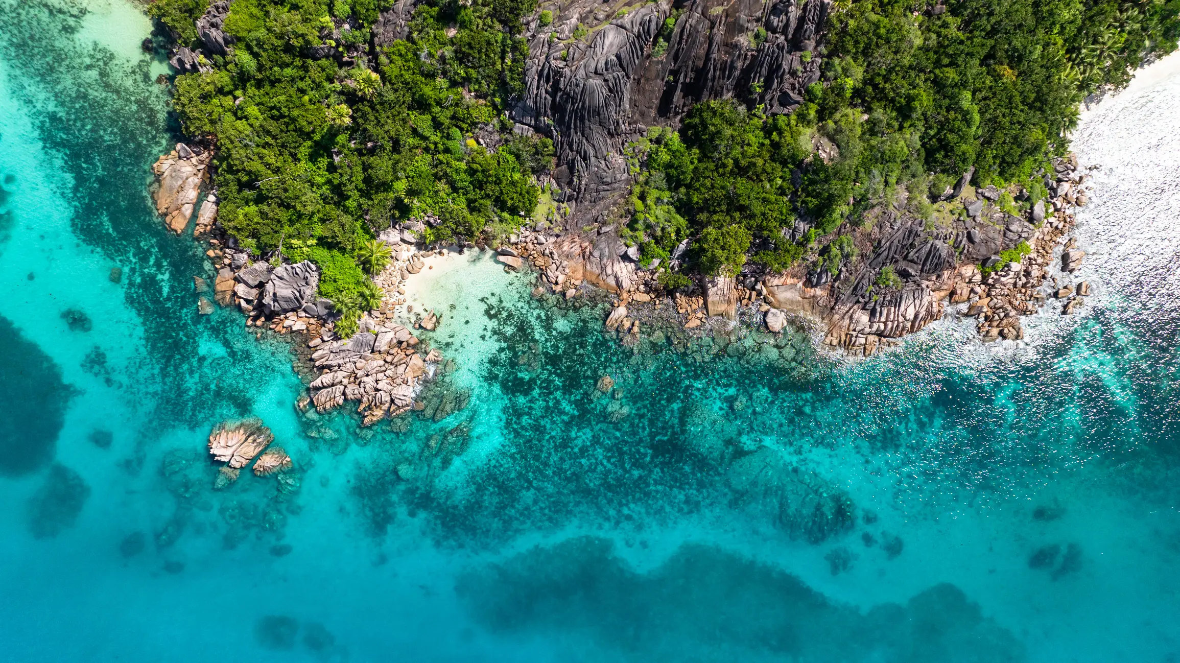 Côte rocheuse aux eaux turquoise et petite plage de sable. île Curieuse, Seychelles.