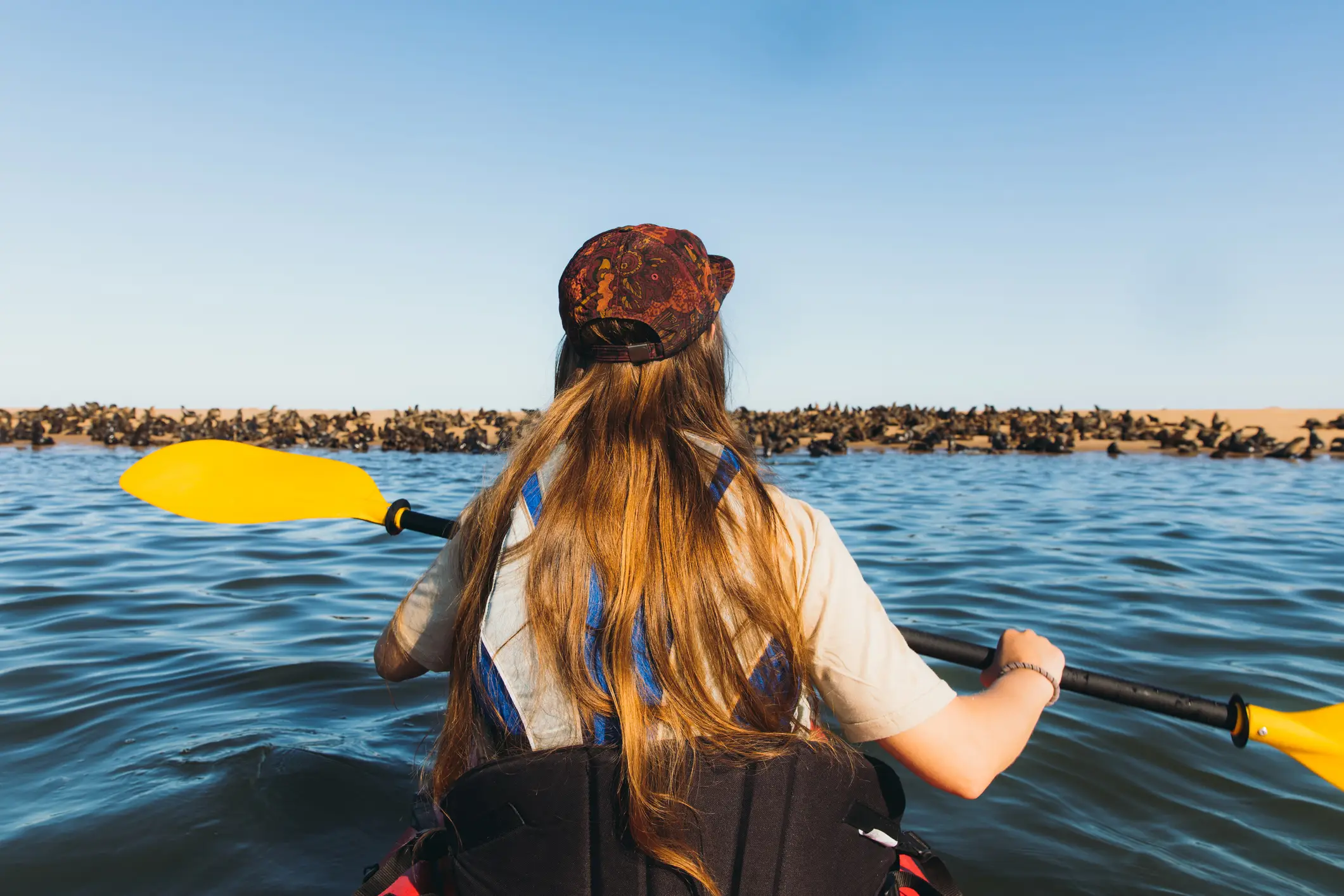 Namibie, île aux phoques, kayak de mer Jeune femme faisant du kayak sur l'île avec des phoques pendant une journée ensoleillée en Namibie, Afrique.
