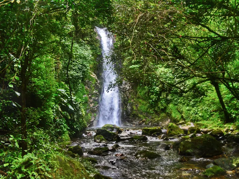 La Yeguada Forest Reserve, Panama Üppige Wälder und ruhige Seen in der La Yeguada Forest Reserve