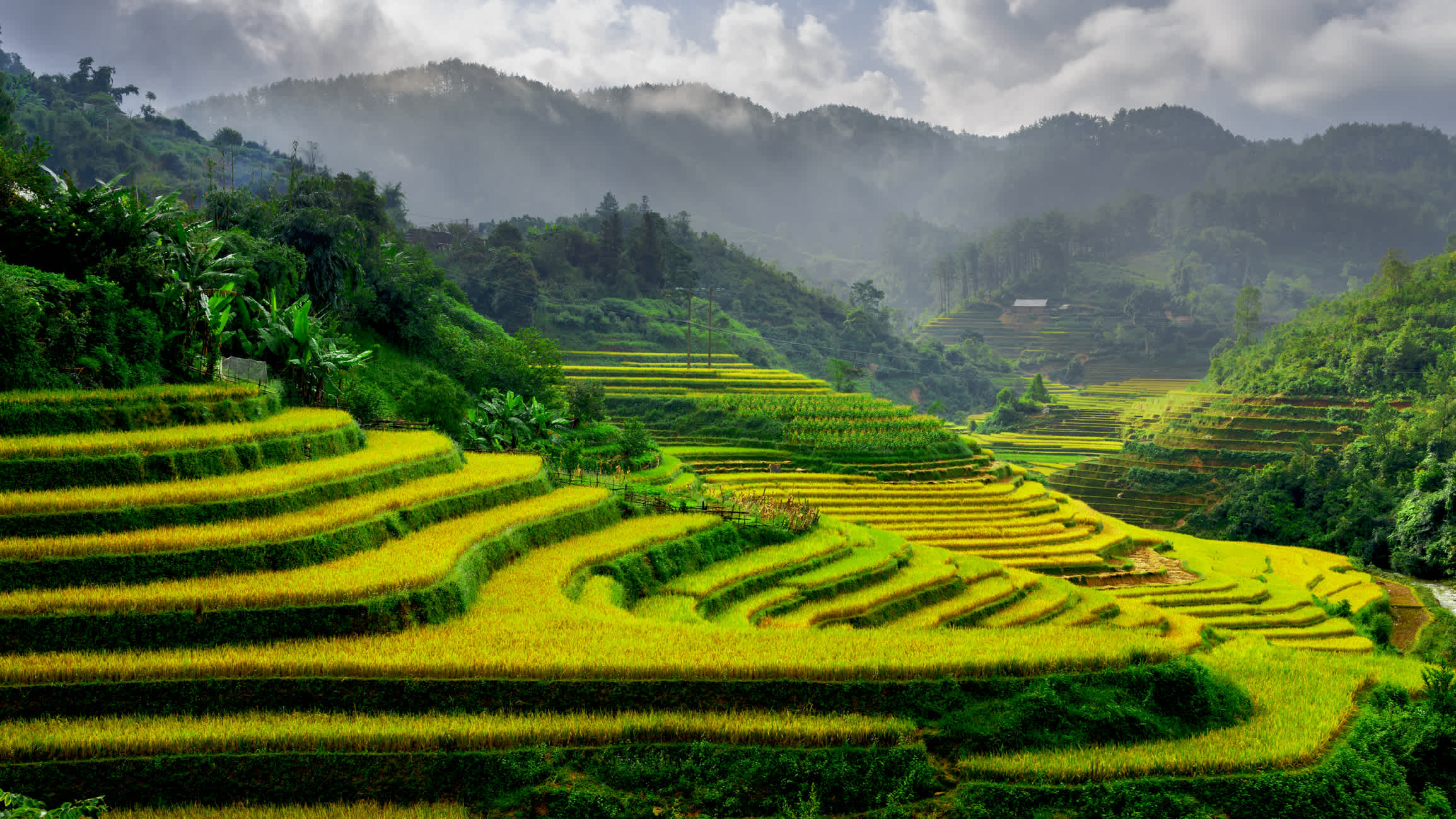 Reis Felder-Mu-Cang-Chai, in Sapa-Stadt, Vietnam 