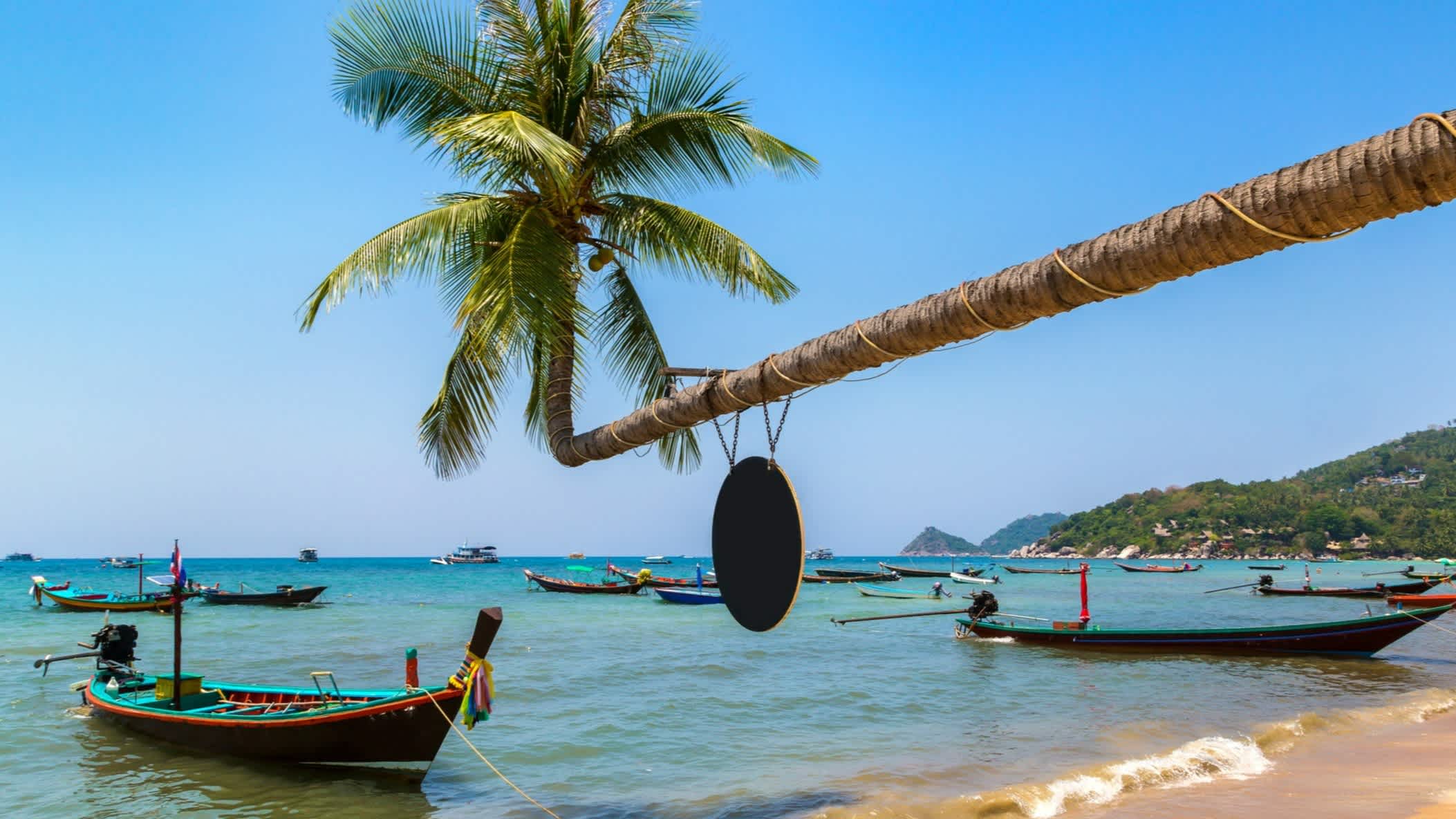 Palmier au-dessus des bateaux sur l'eau turquoise de la plage de Sairee sur l'île de Koh Tao en Thaïlande 