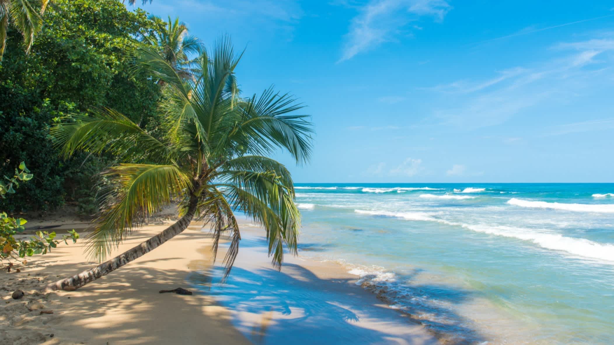 La plage de Playa Chiquita située à proximité de Puerto Viejo, Costa Rica