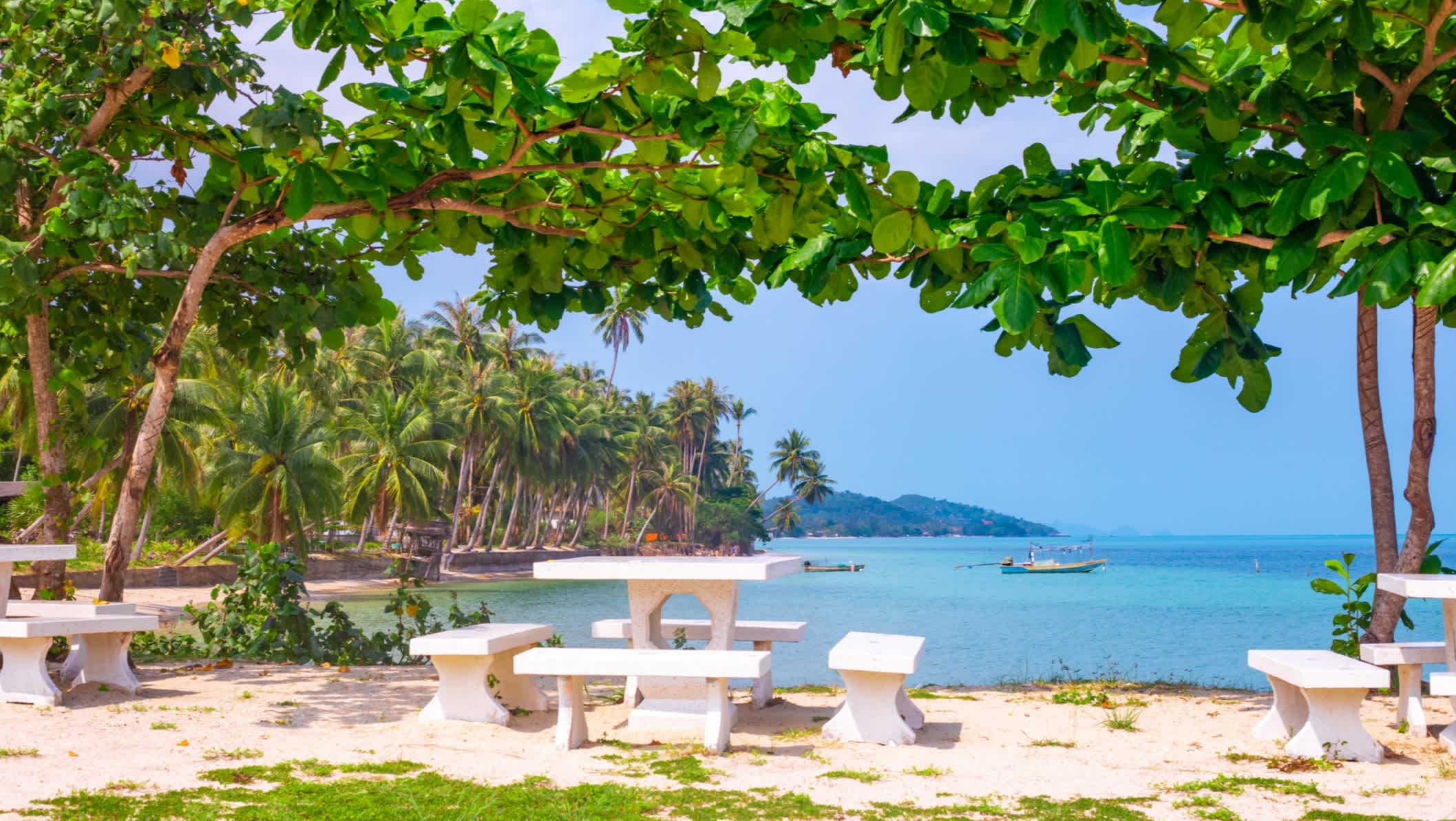 Tropische Küste mit Palmen mit Tisch an einem malerischen Strand an einem sonnigen Tag
