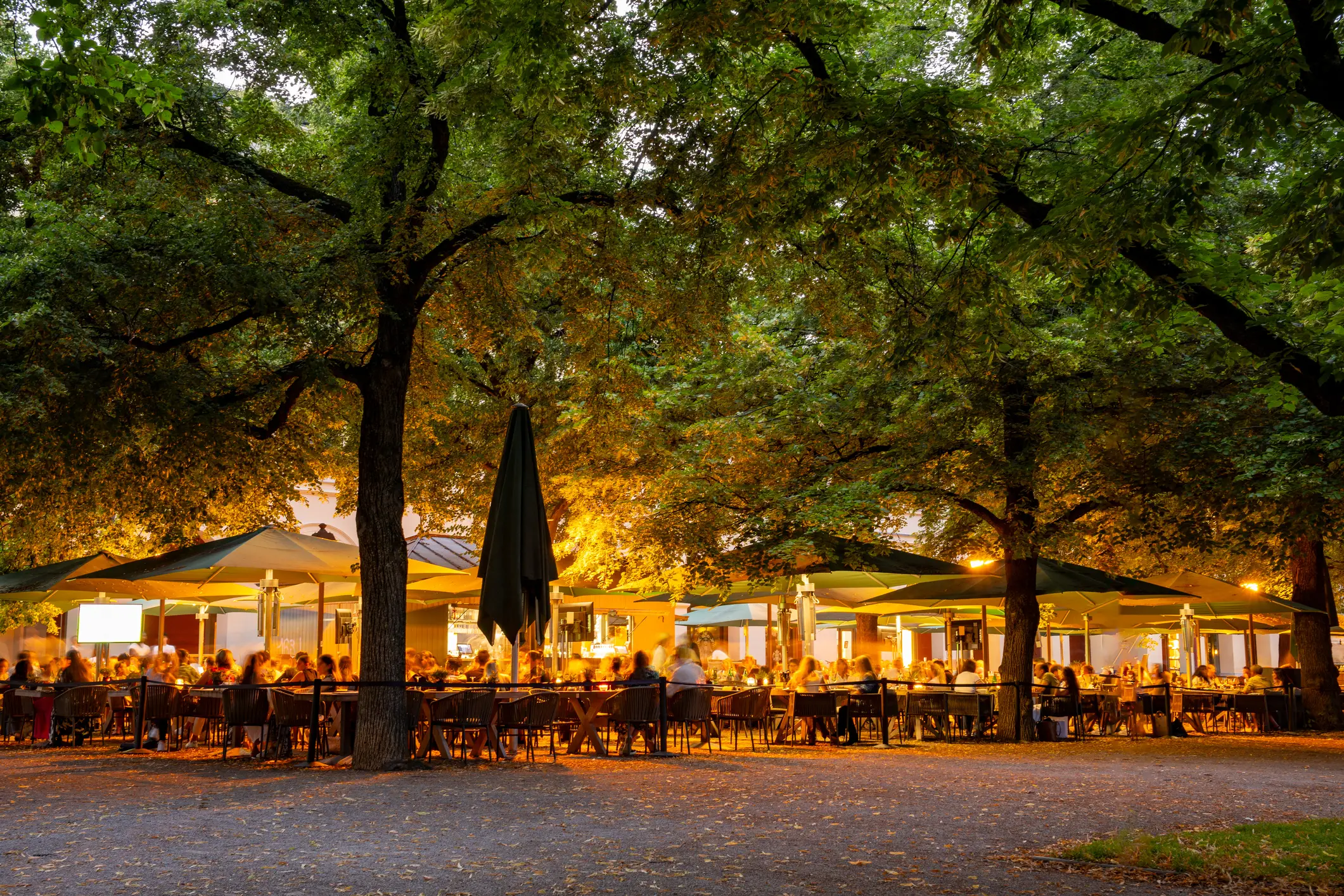 German biergarten Munich