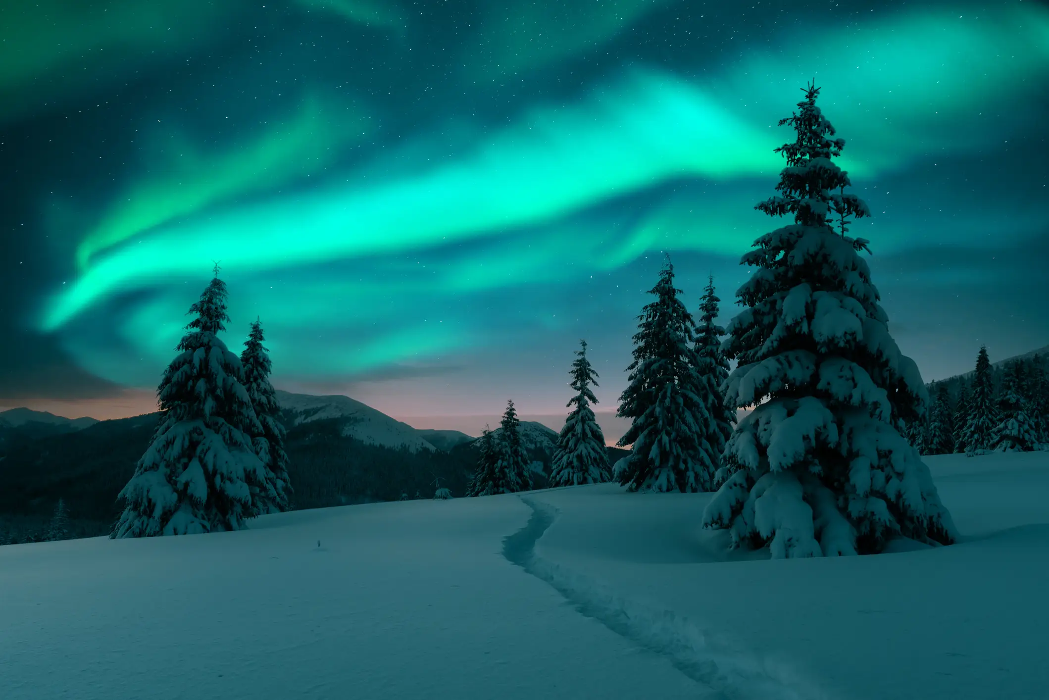 Nordlicht, Finnisch-Lappland, Winter, Nacht, Wald Nordlicht, Finnisch-Lappland, Winter, Nacht, Wald