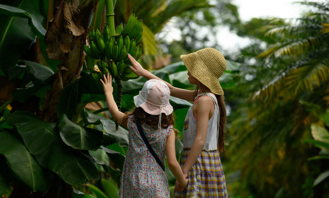 Partez au Costa Rica avec vos enfants pour des vacances en famille inoubliables
