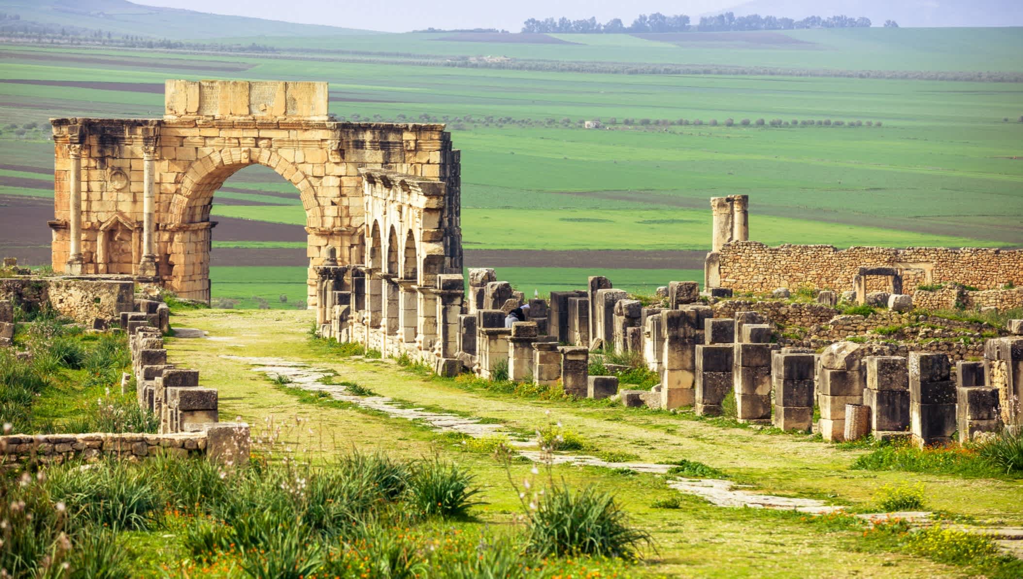 Ruines romaines de Volubilis