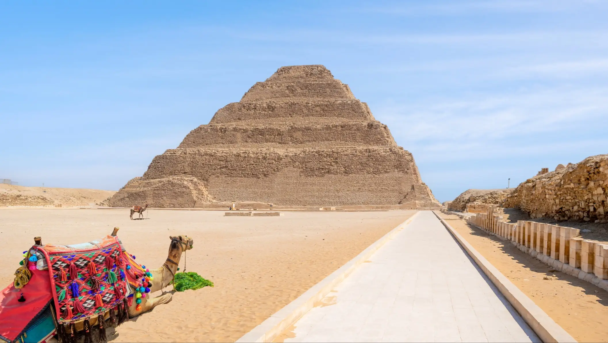 La pyramide à degrés de Sakkara avec un chameau décoré au premier plan. Sakkara, Égypte.