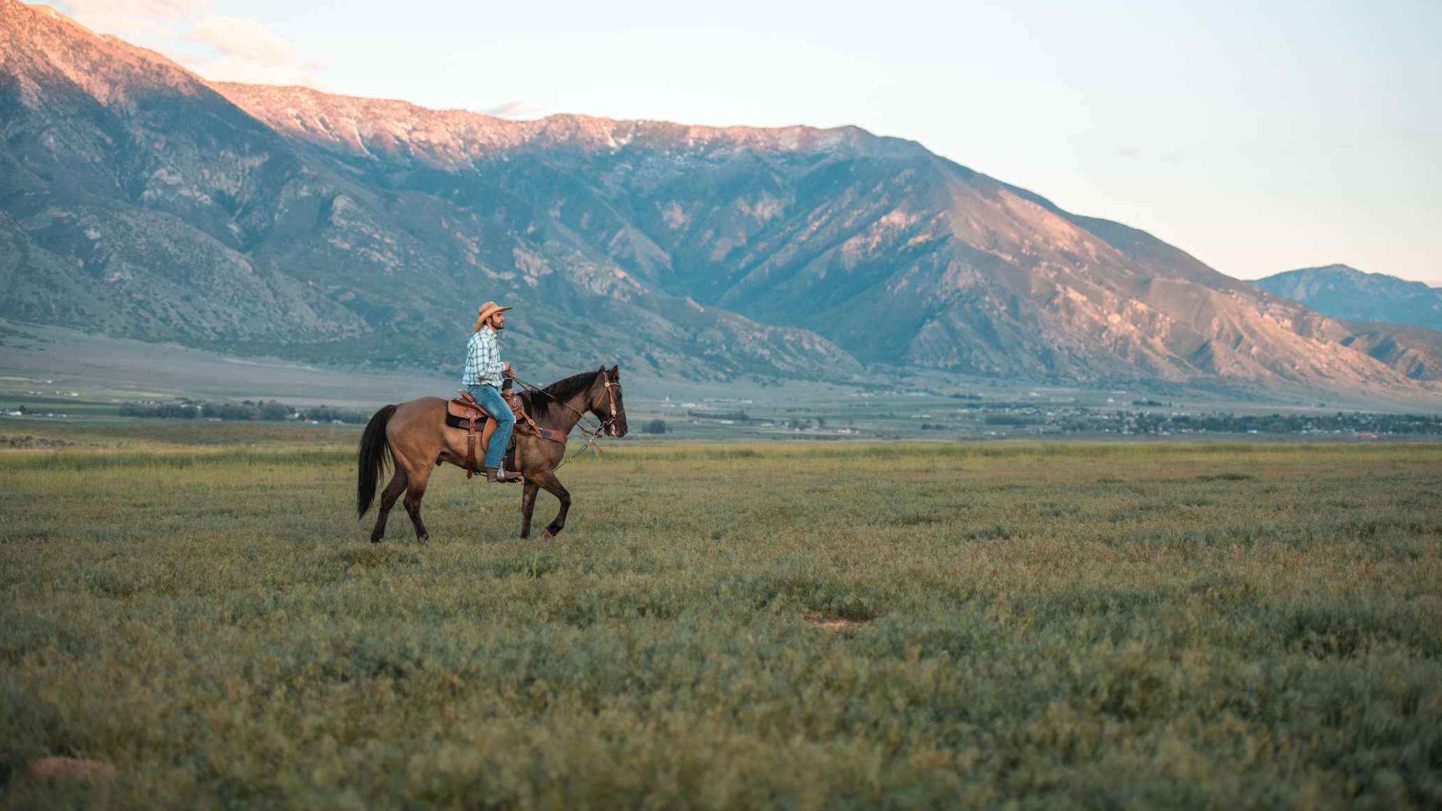 Ein Mann mit Cowboyhut reitet durch eine grüne Landschaft in den USA - eine der vielen Aktivitäten, denen man hier nachgehen kann