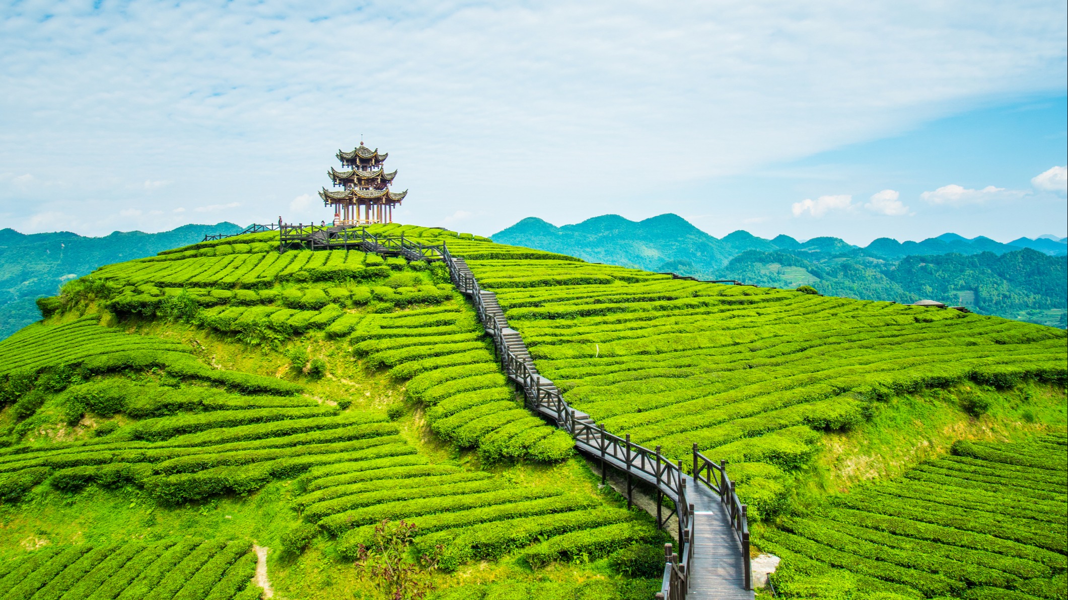 Wie viel kostet ein Indien Urlaub? Unsere Preisübersicht