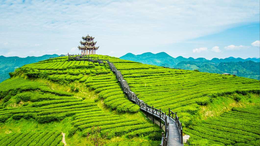 En Inde Quand partir en Inde ? Guide de voyage | Tourlane