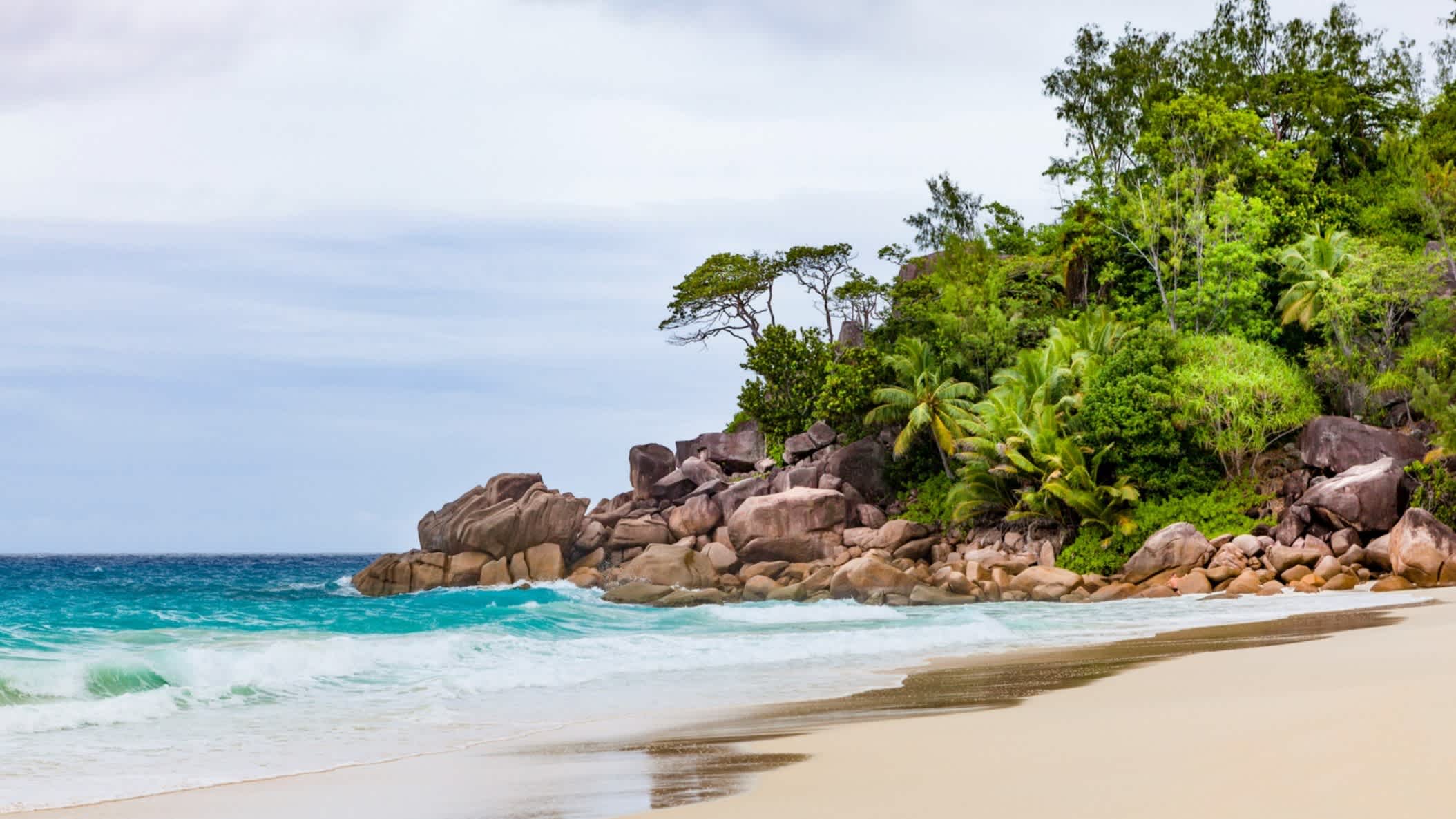 Die Anse Georgette auf der Insel Praslin auf den Seychellen bei sonnigem Wetter, mit Granitfelsen am Strandende und weißem Sand. 