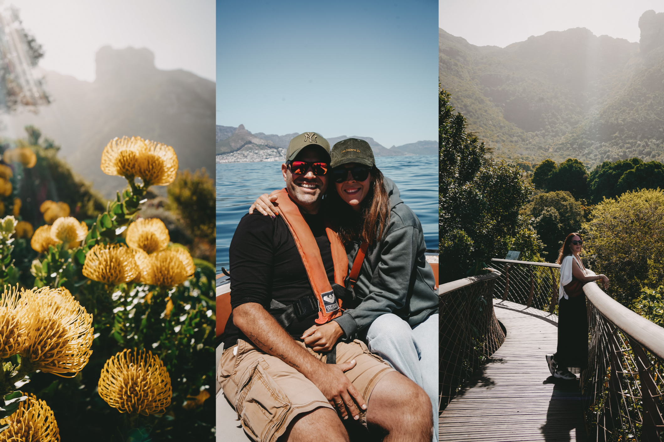 Südafrika, Louisa Thomas, Kapstadt Ausflug Collage