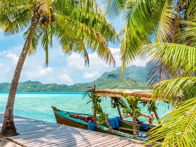 Französisch-Polynesien, Bora Bora, Palmen Wunderschöne Sommerlandschaft mit Kokospalmen auf der tropischen Insel Bora Bora, Französisch-Polynesien. Dekoriertes Touristenboot vor Anker am Holzkai.